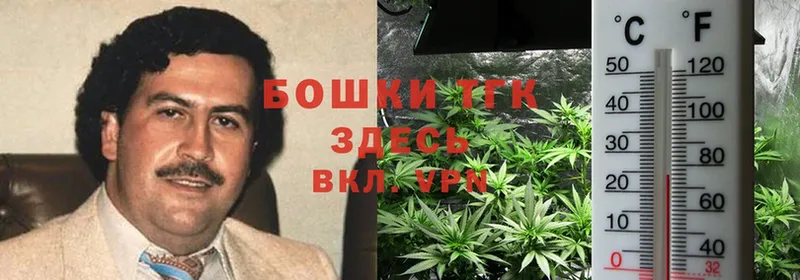 Конопля Bruce Banner  Сургут 